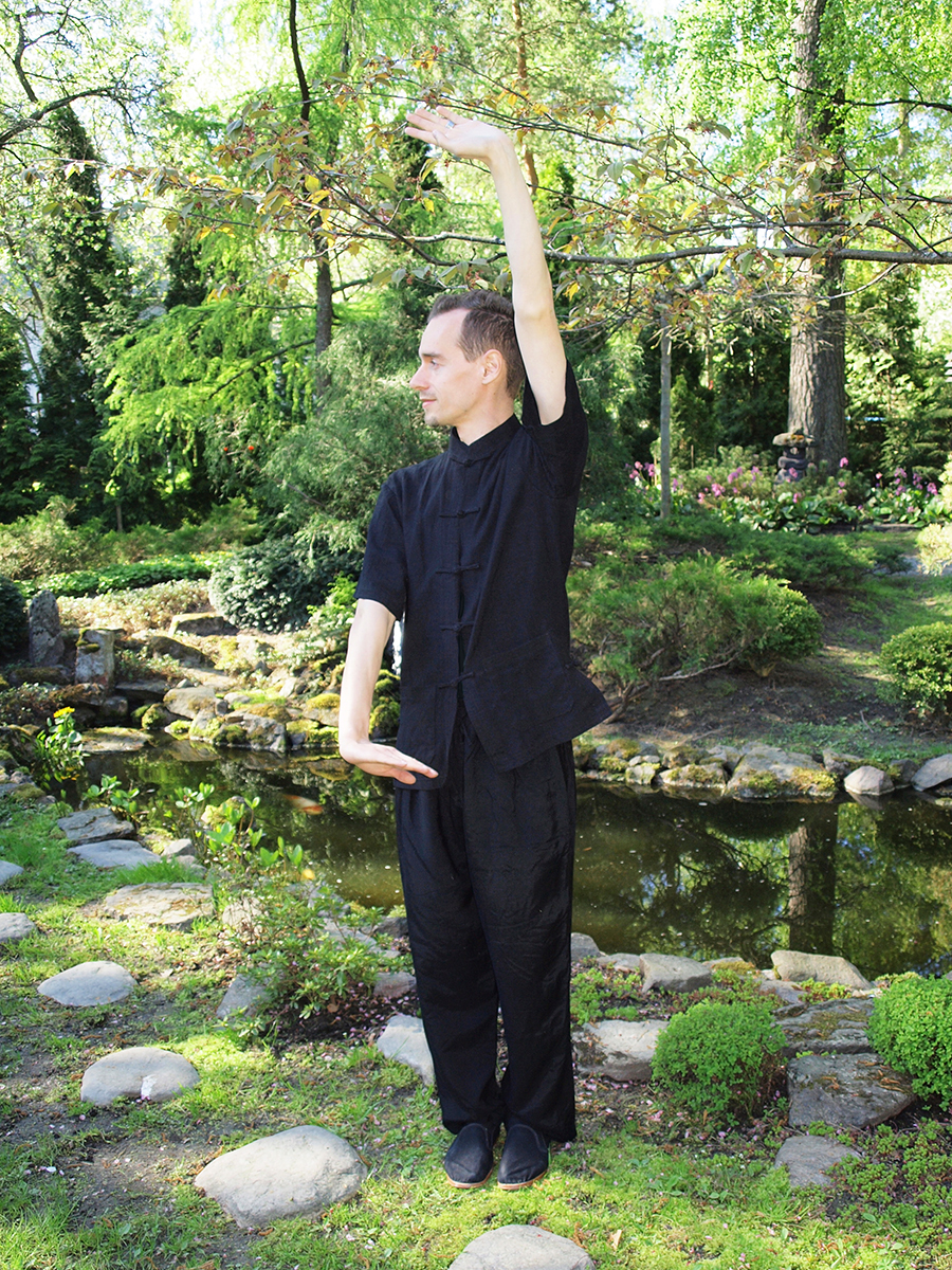 chikung qigong 2 v