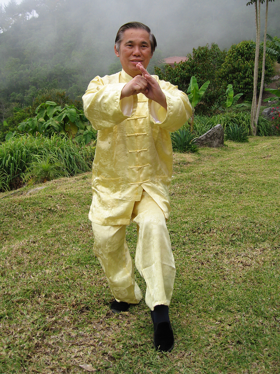 sifu shaolin 1 v