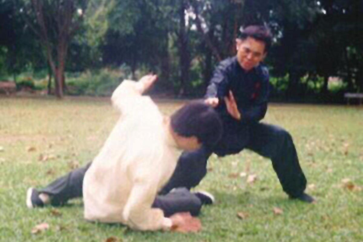 shaolin kungfu 13 wong