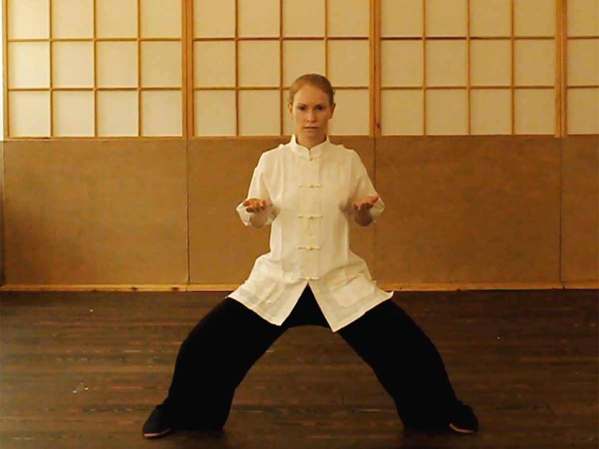 taijiquan tai chi taiji 6