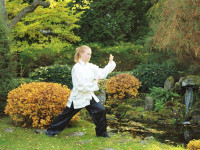 taijiquan_tai_chi_taiji-1