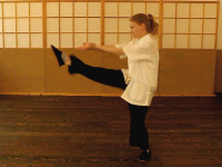 taijiquan_tai_chi_taiji-5
