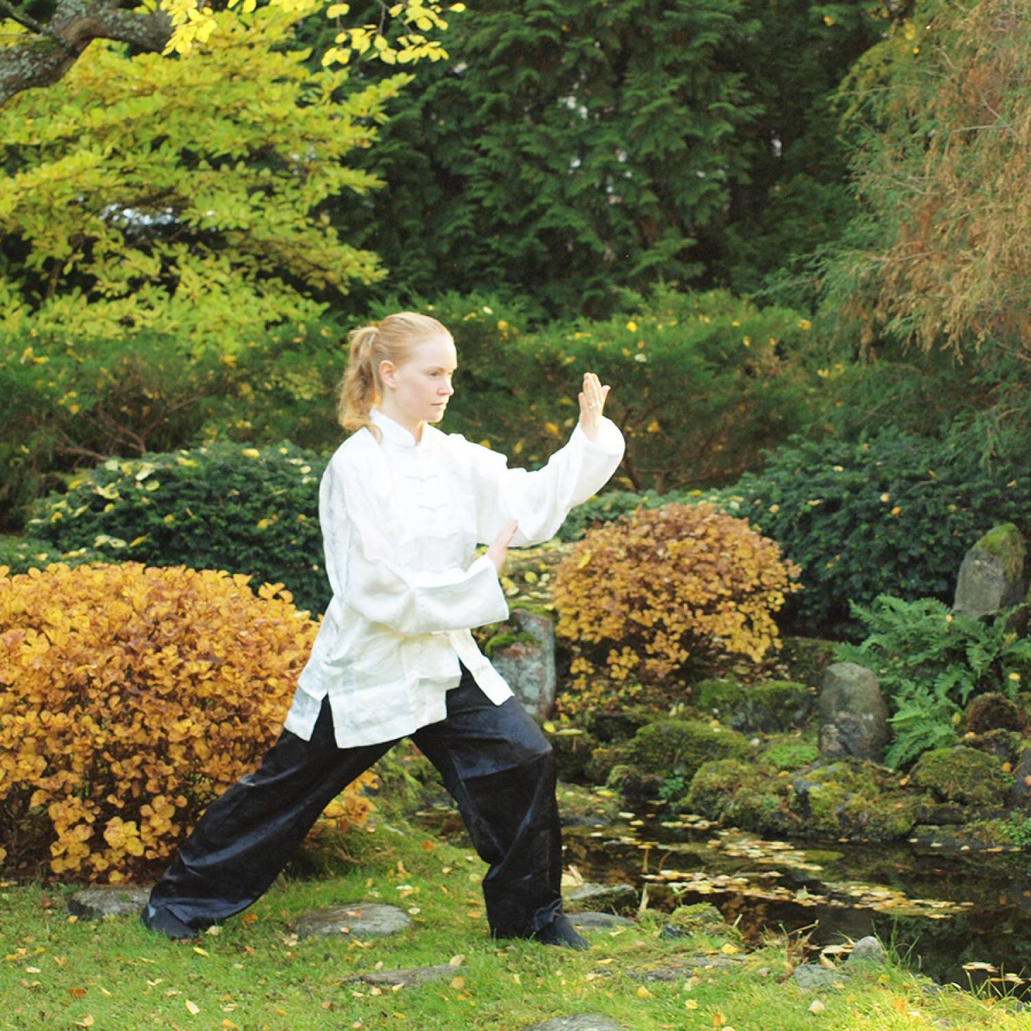 Taijiquan